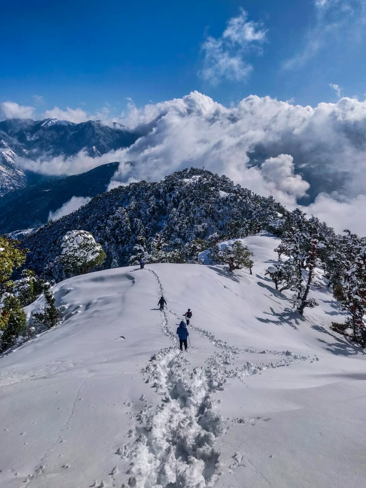 Himachal Pradesh travel photograph