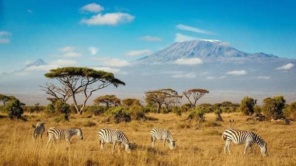 kenya
